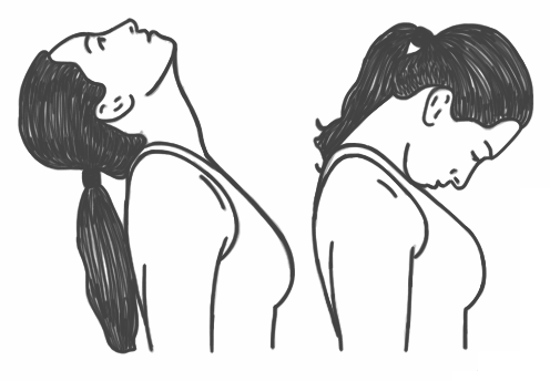 neck stretch, flexion and extension