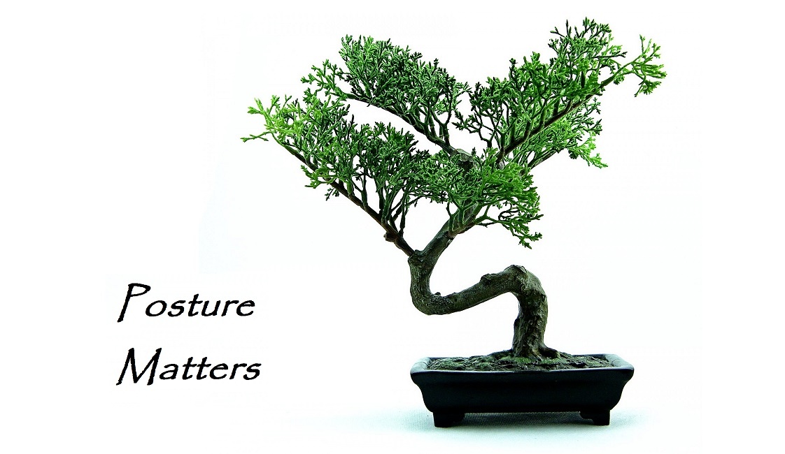 crooked bonsai tree, posture matters