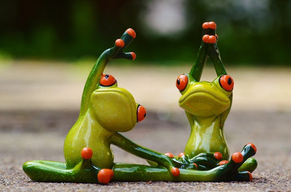 frogs exercising stretching, chiropractic recommendation