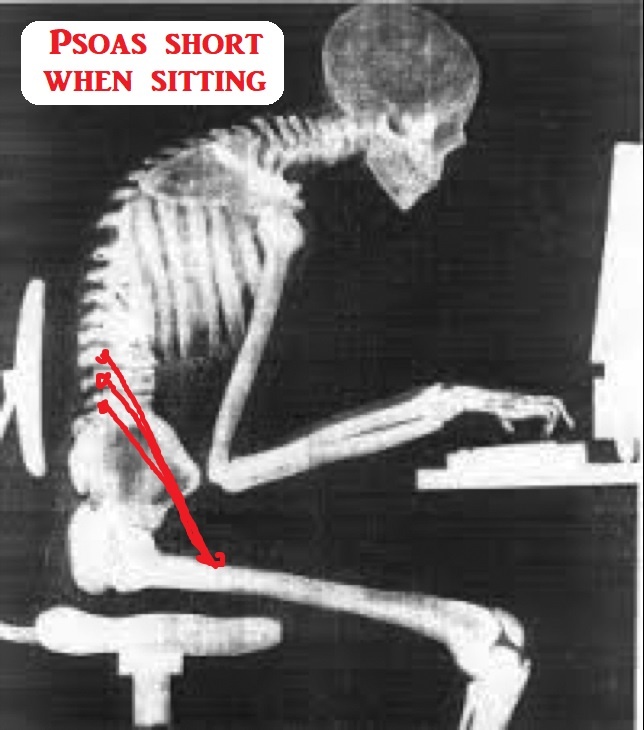 psoas short when sitting