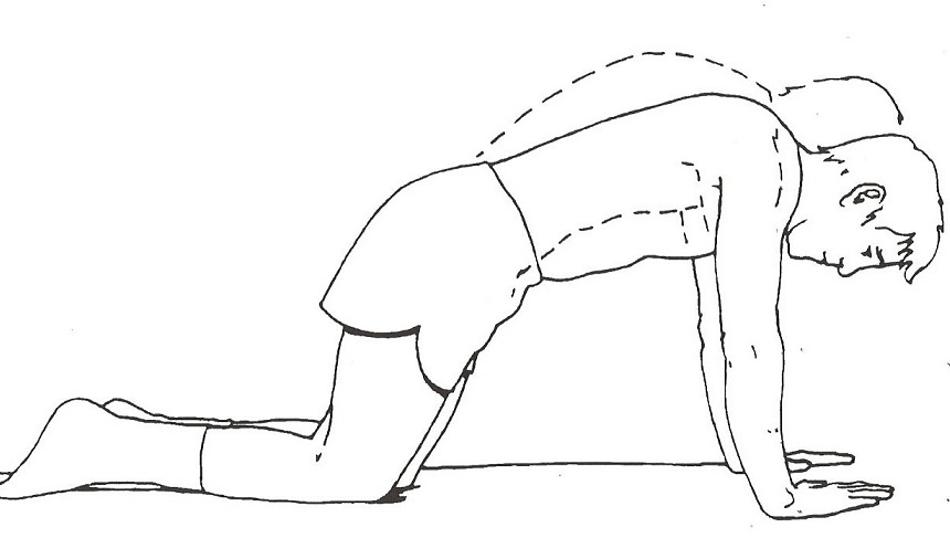 Postural exercise to bring shoulders back and down. For easier start, begin against a wall. For more of a challenge, perform against a chair or on the ground (on toes like a push-up).